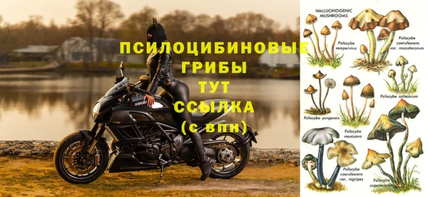 прущие крисы Новодвинск