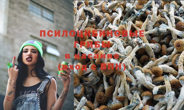 каннабис Нягань