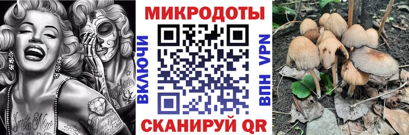 сайты даркнета официальный сайт  Кинель  Галлюциногенные грибы ЛСД 
