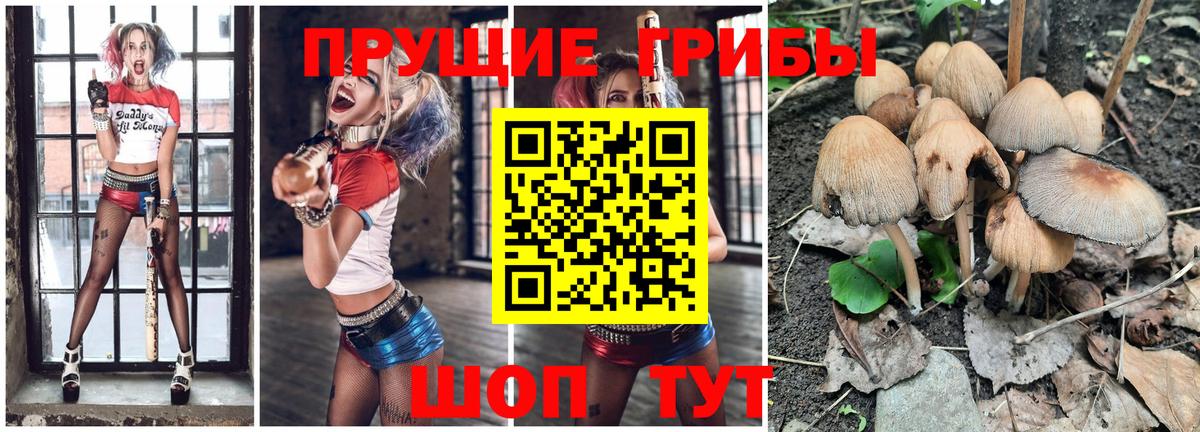 Кинель  Псилоцибиновые грибы GOLDEN TEACHER  закладки  Вход с VPN  Галлюциногенные грибы GOLDEN TEACHER 